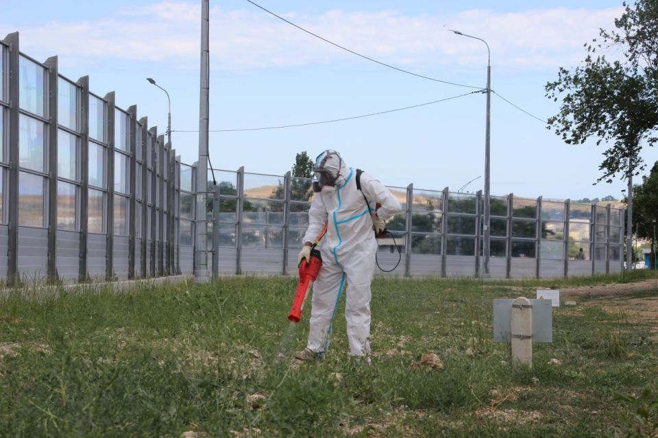 В Керчи приступили к обработке территорий от амброзии В Керчи приступили к обработке территорий от амброзии