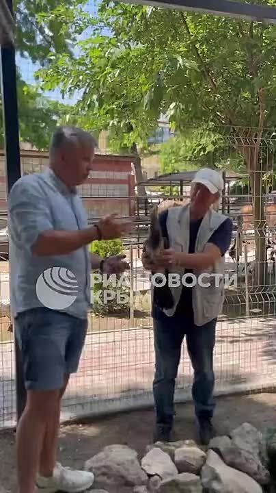  ,    ,    