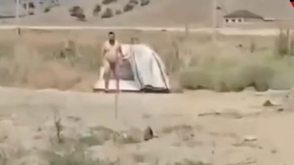   ,   :       