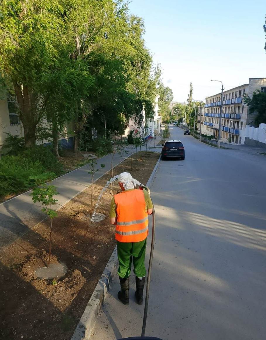 Руководство города держит на контроле вопрос качество полива высаженных растений Руководство города держит на контроле вопрос качество полива высаженных растений