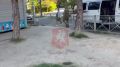,     ,   10  