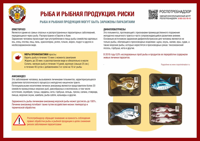 Территориальный отдел Межрегионального управления Роспотребнадзора по Республике Крым и городу Севастополю по Южному берегу Крыма информирует: Памятка о правильном хранении и обработке рыбы Территориальный отдел Межрегионального управления Роспотребнадзора по Республике Крым и городу Севастополю по Южному берегу Крыма информирует: Памятка о правильном хранении и обработке рыбы