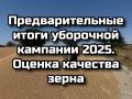  :   .  :     2025