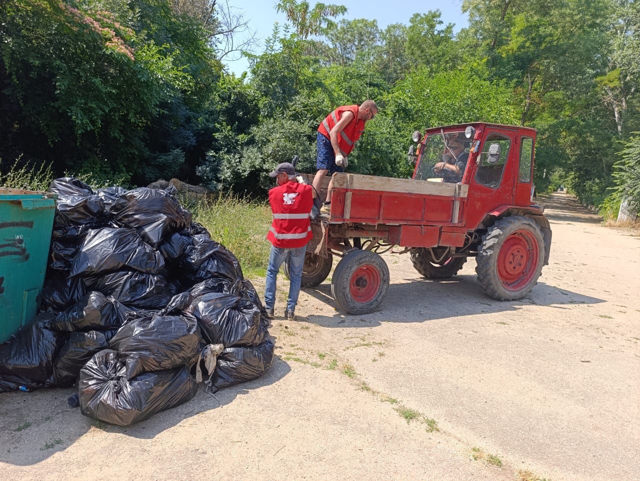 В Аршинцево убрали стихийную свалку В Аршинцево убрали стихийную свалку