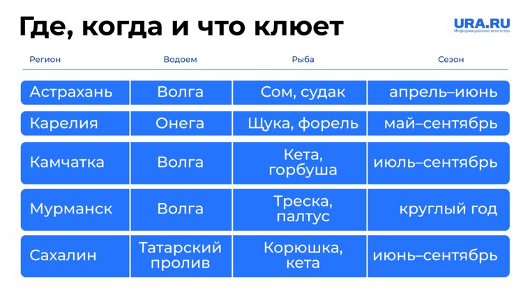 Самый клев: карта лучших мест для речной и морской рыбалки в России Самый клев: карта лучших мест для речной и морской рыбалки в России