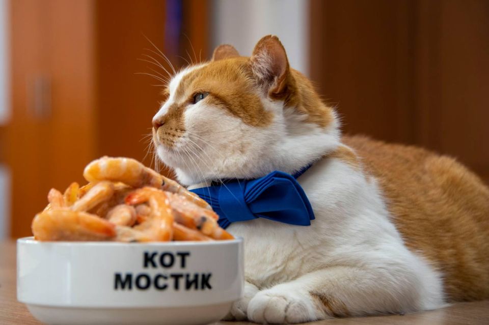  : 5   !. ,     