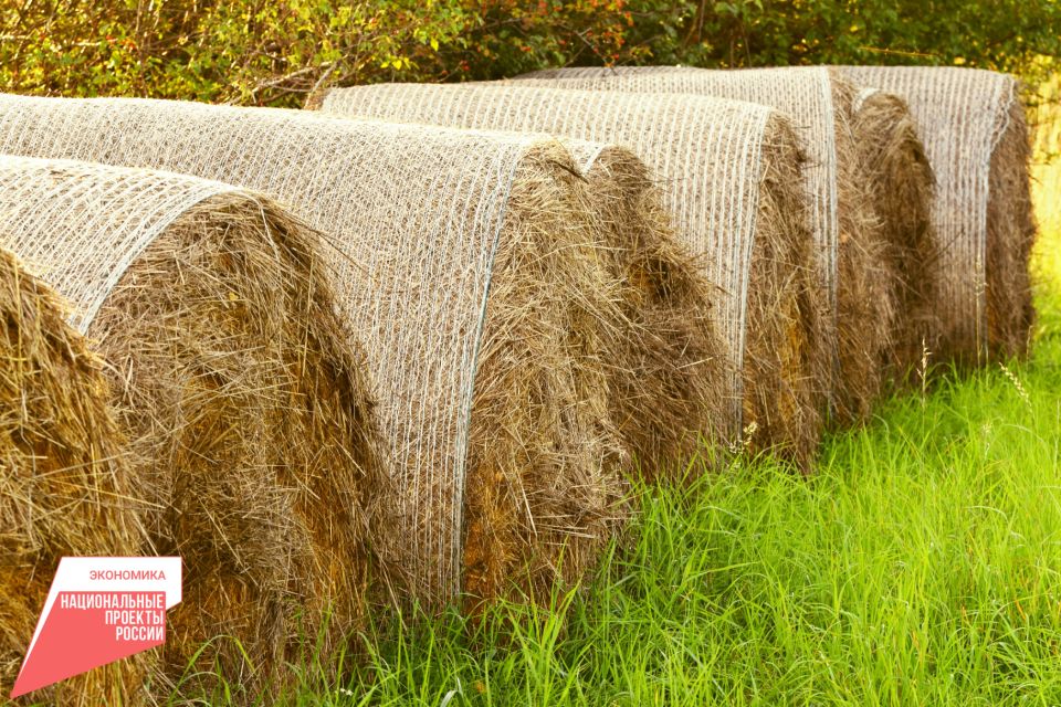 Крымское сельхозпредприятие закупило современную технику для заготовки сена стоимостью более 13 млн рублей по программе льготного лизинга