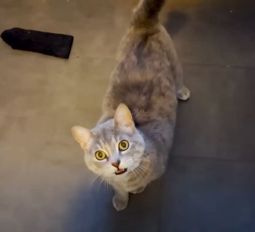  :          10 