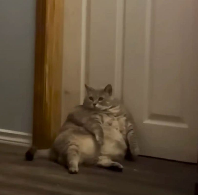  :          10 