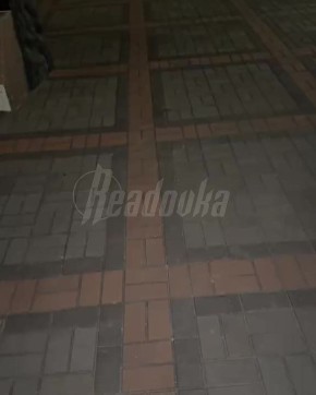     ,         ,             