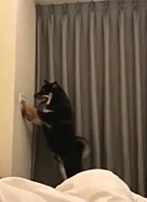      - 