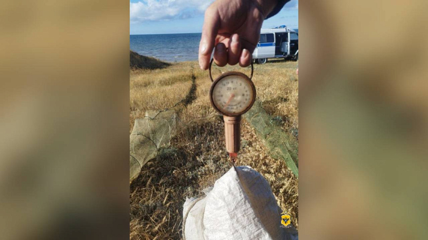 Четверо жителей Херсонской области уличены в незаконной добыче креветок более чем на 1 млн рублей Четверо жителей Херсонской области уличены в незаконной добыче креветок более чем на 1 млн рублей