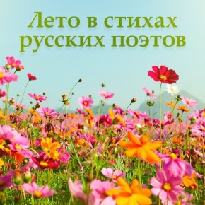  :  , ,      