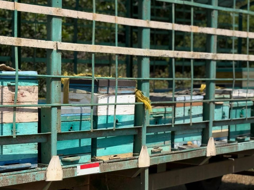 Отрасль пчеловодства Крыма процветает! Отрасль пчеловодства Крыма процветает!