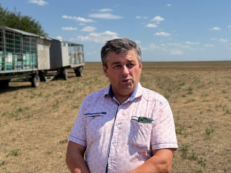 Отрасль пчеловодства Крыма процветает! Отрасль пчеловодства Крыма процветает!