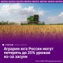 Аграрии юга России могут потерять до 25% урожая зерна, кукурузы и подсолнечника из-за засухи