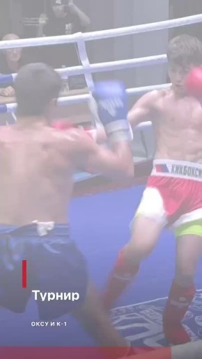  :  Crimean Fight  ,   -1!         