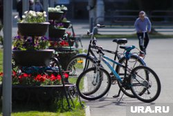 Как проходит досмотр на Крымском мосту: что нужно знать Как проходит досмотр на Крымском мосту: что нужно знать