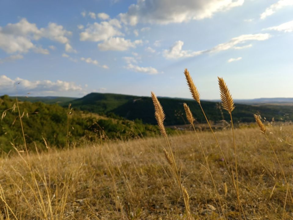      29 