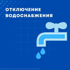          29   8:00   17:00     :