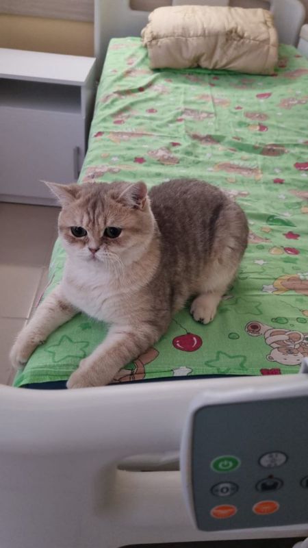  :          