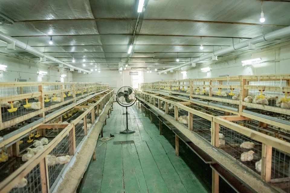 Михаил Развожаев: Рад поделиться отличными результатами: с 2023 года объёмы разведения птицы в нашем городе выросли вдвое Михаил Развожаев: Рад поделиться отличными результатами: с 2023 года объёмы разведения птицы в нашем городе выросли вдвое