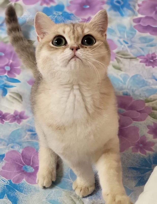  :          