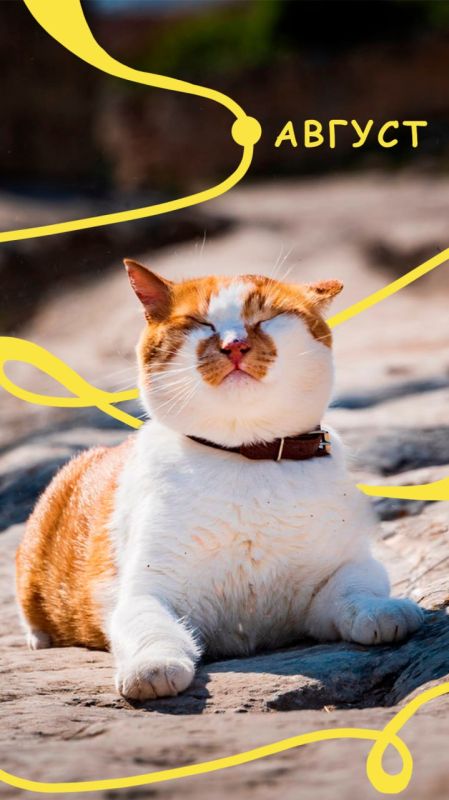  : !    ?.      ,                     ,   ...