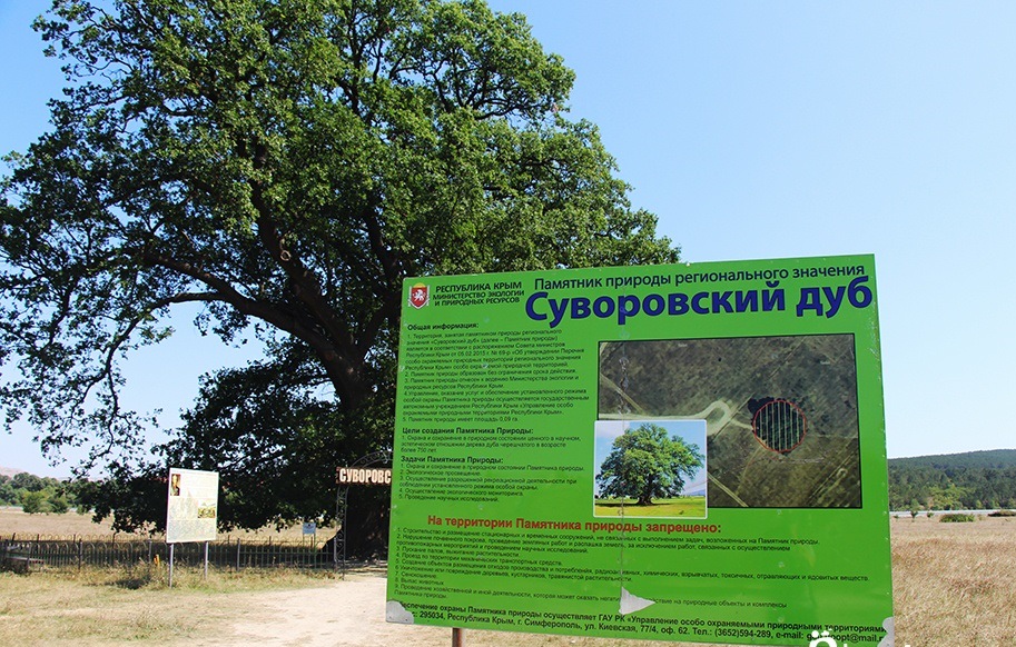 Суворовский дуб вошёл в тройку победителей конкурса «Российское дерево года» Суворовский дуб вошёл в тройку победителей конкурса «Российское дерево года»
