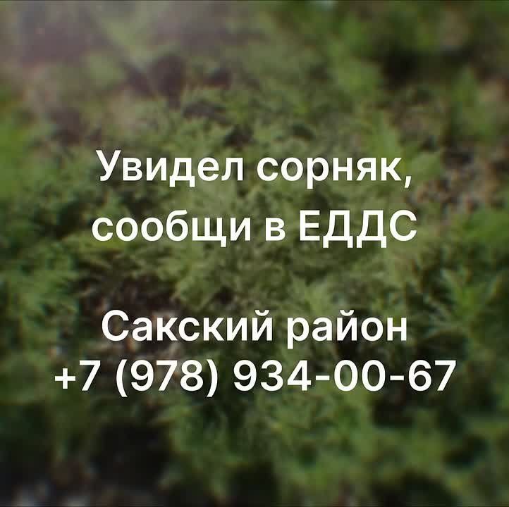  :  -  