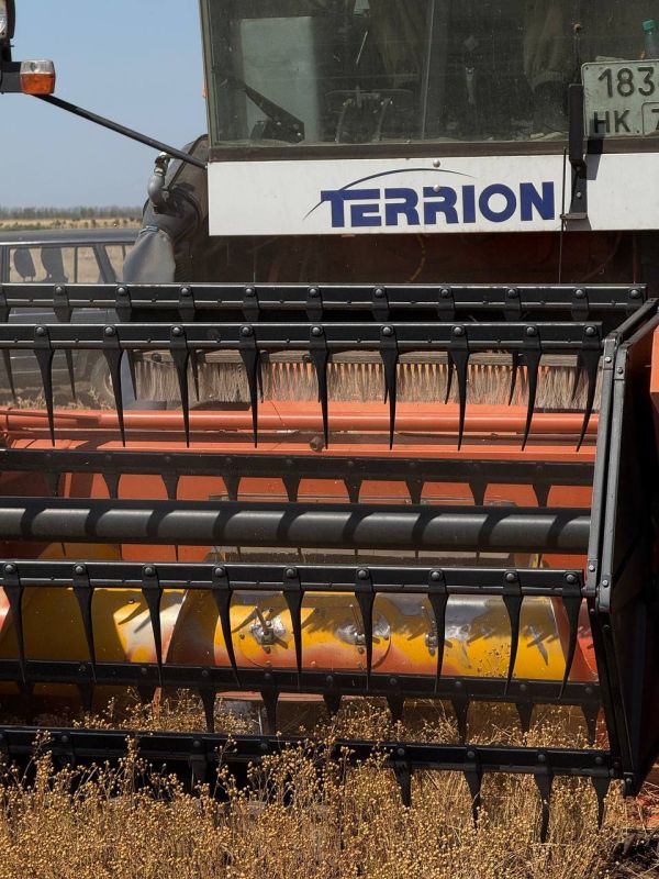 В Крыму завершена уборка экспериментальных сортов льна В Крыму завершена уборка экспериментальных сортов льна