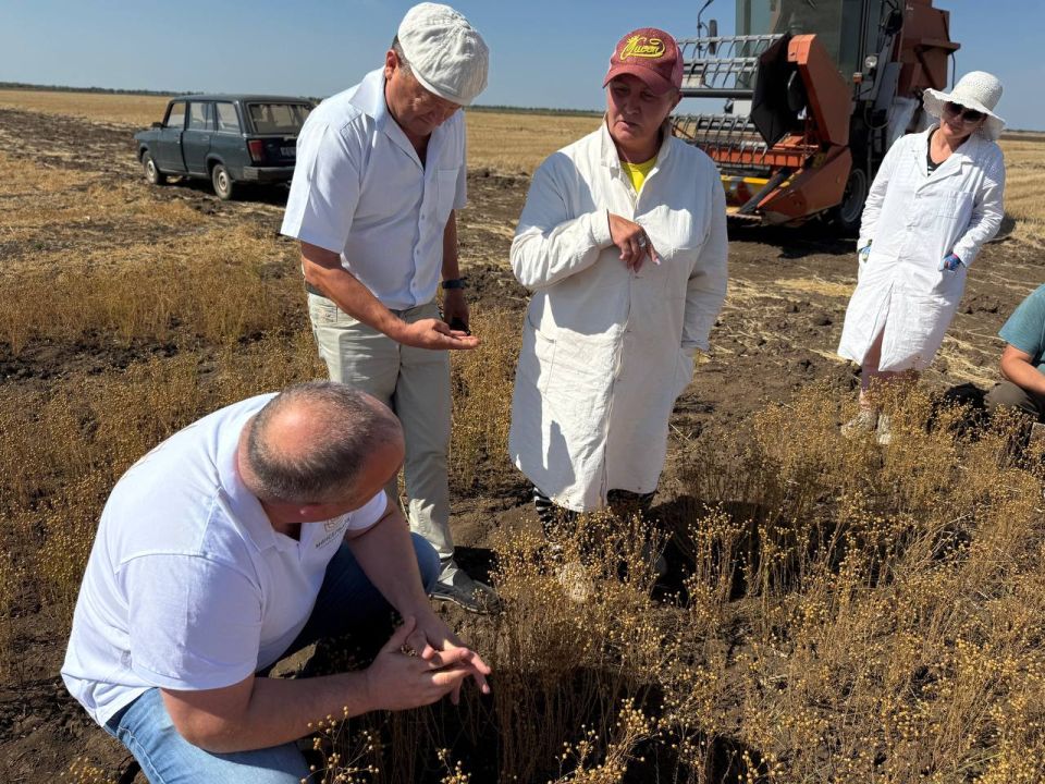 Завершены полевые работы!. Филиал федерального государственного бюджетного учреждения «Государственная комиссия Российской Федерации по испытанию и охране селекционных достижений» по Республике Крым успешно завершил уборку... Завершены полевые работы!. Филиал федерального государственного бюджетного учреждения «Государственная комиссия Российской Федерации по испытанию и охране селекционных достижений» по Республике Крым успешно завершил уборку...