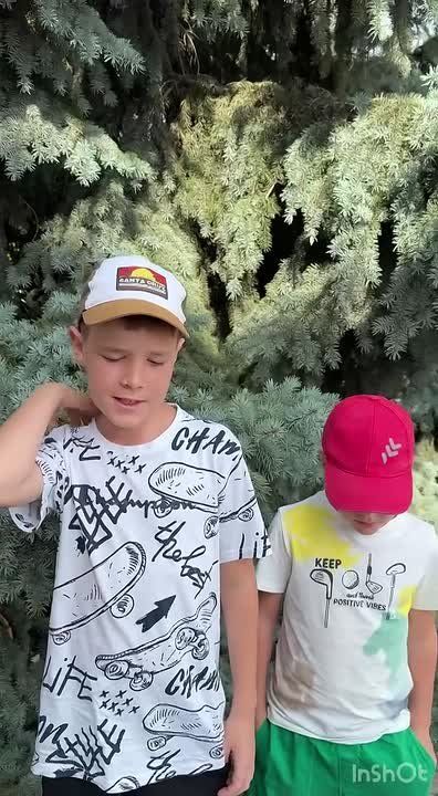         ,     ,       