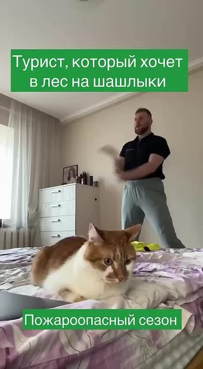  :  