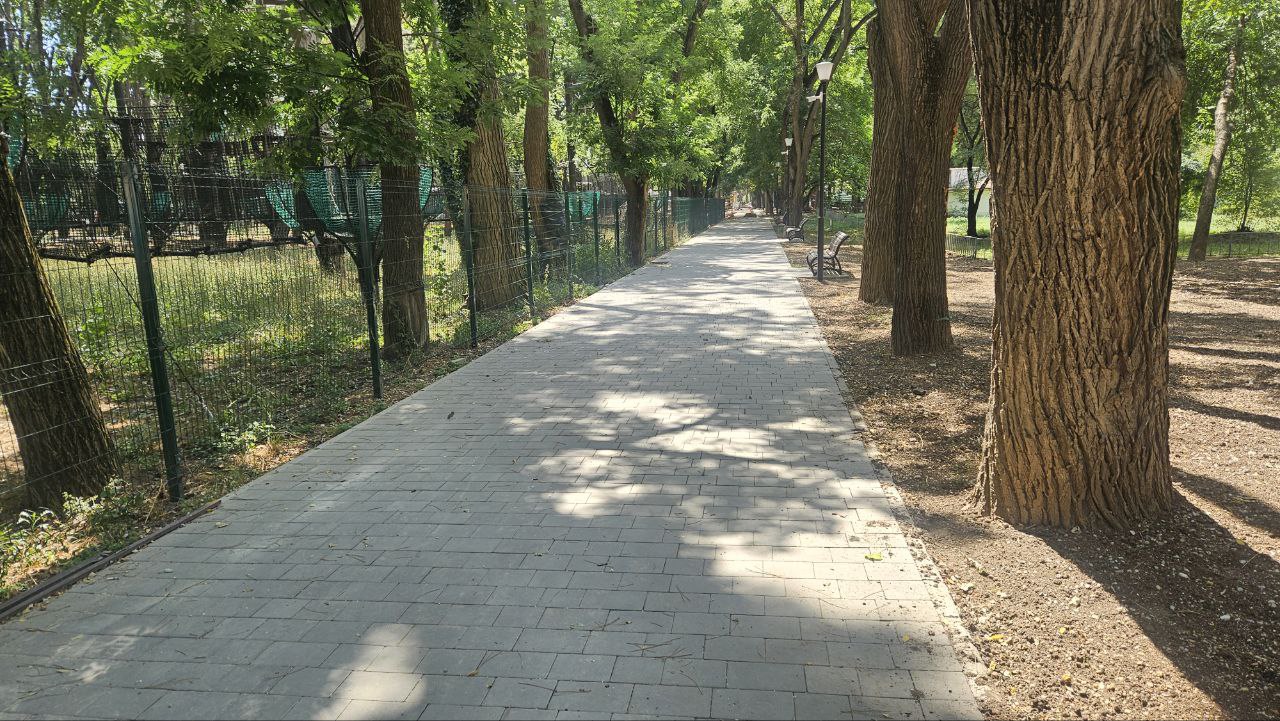 В крымской столице продолжаются работы по благоустройству Детского парка В крымской столице продолжаются работы по благоустройству Детского парка