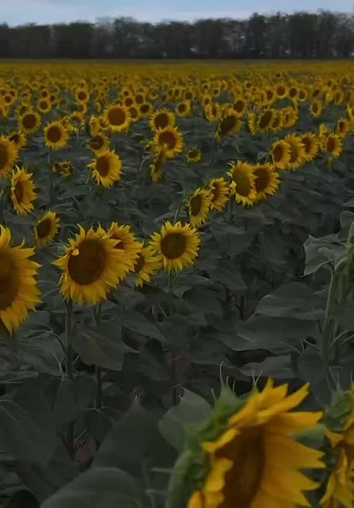     !