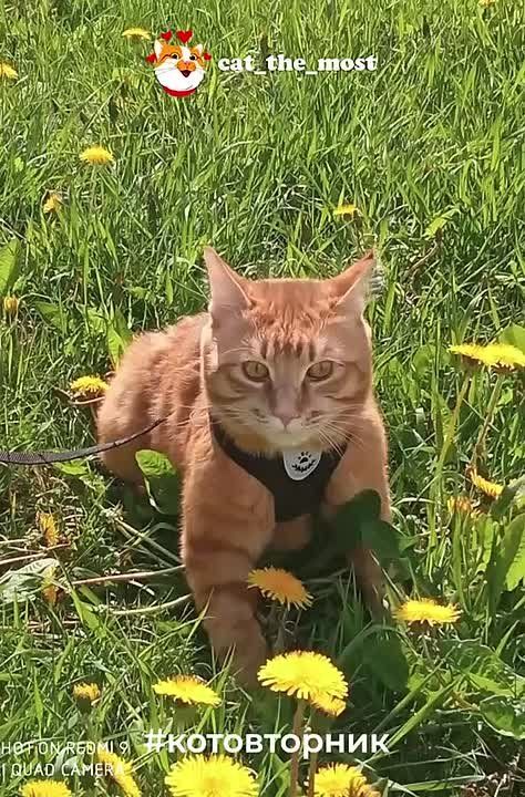  :  #.  ,      