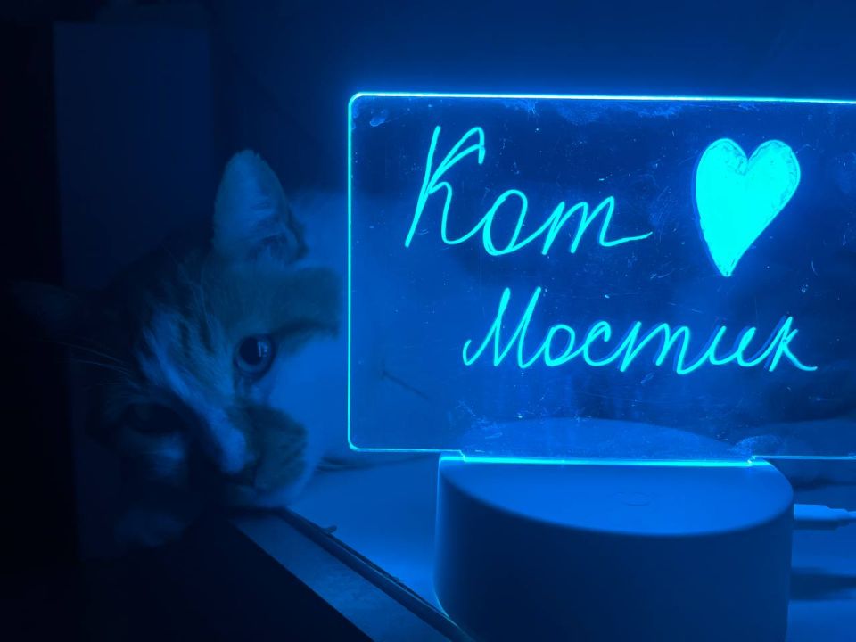  :  .       ,   - 