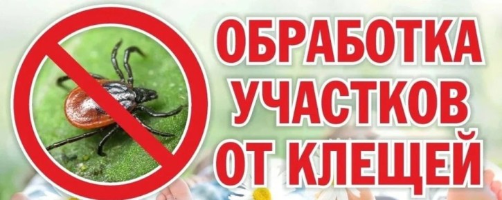   !.      ,    ,      18.08.2025  19.08.2025     ,  ...