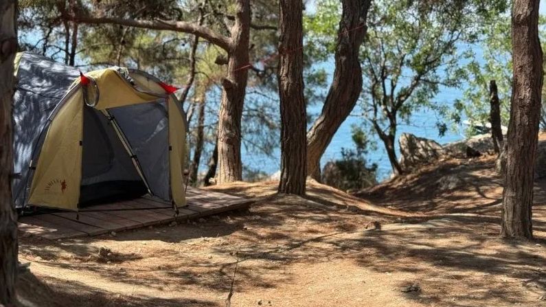 ��������� ���������� � �������� �� ������ �������