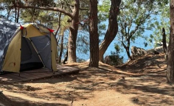 ��������� ���������� � �������� �� ������ �������