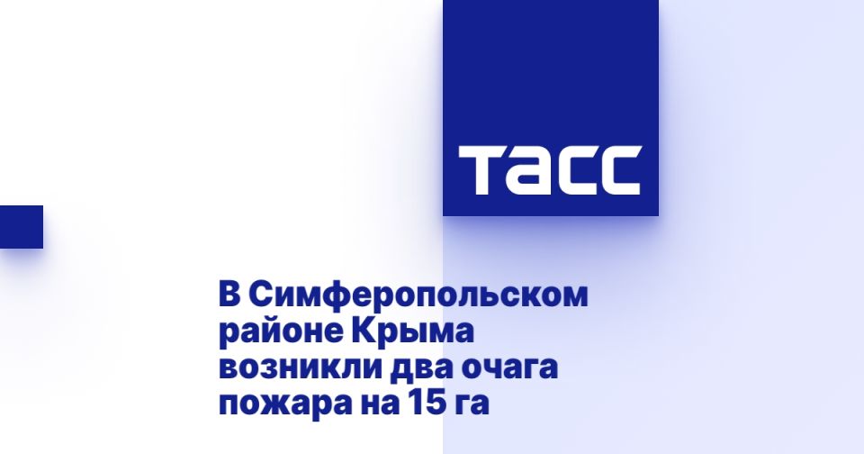         15 