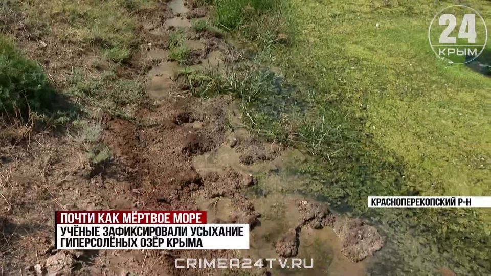 Учёные зафиксировали усыхание гиперсолёных озёр Крыма
