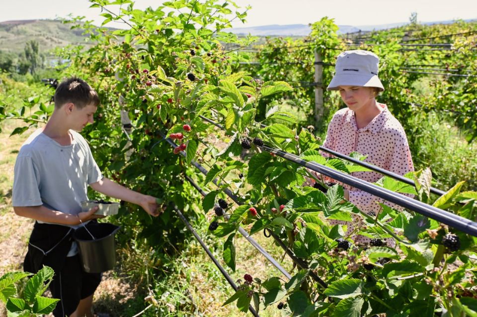 Сергей Аксёнов: Благодаря Президенту, Правительству РФ и лично вице-премьеру Дмитрию Николаевичу Патрушеву наши аграрии получили возможность продать до миллиона тонн зерна на внешних рынках по квоте Сергей Аксёнов: Благодаря Президенту, Правительству РФ и лично вице-премьеру Дмитрию Николаевичу Патрушеву наши аграрии получили возможность продать до миллиона тонн зерна на внешних рынках по квоте