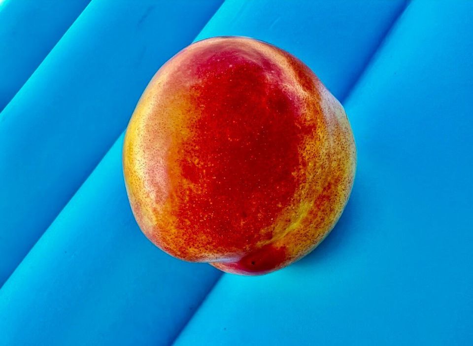   , !.     !  ,     