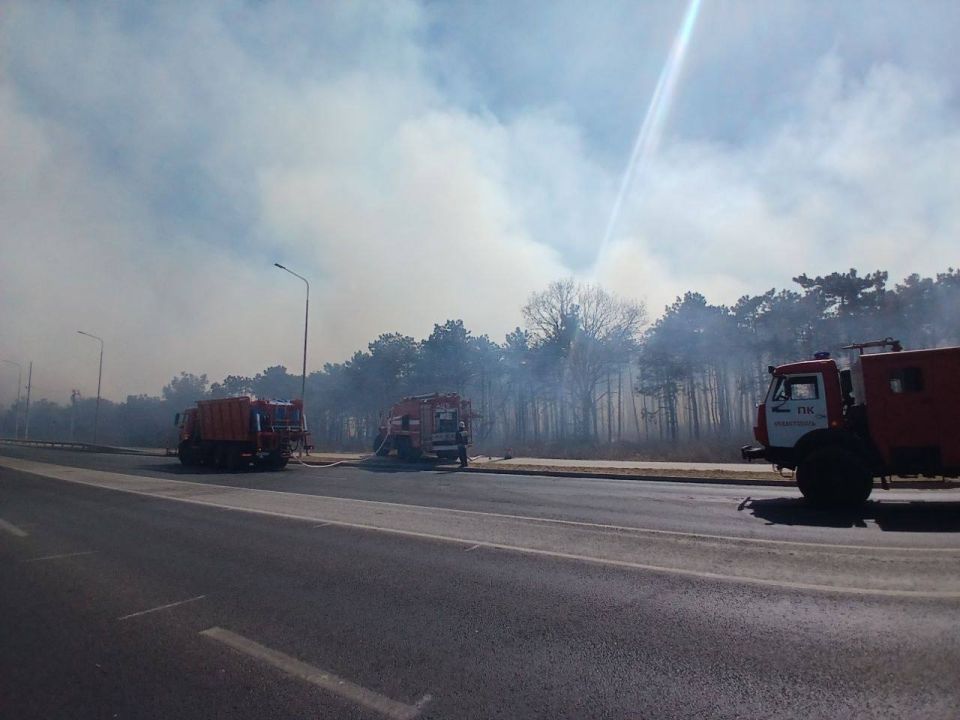 Михаил Развожаев: Уважаемые севастопольцы!. Из-за пожара на Камышовом шоссе временно перекрыто движение Михаил Развожаев: Уважаемые севастопольцы!. Из-за пожара на Камышовом шоссе временно перекрыто движение