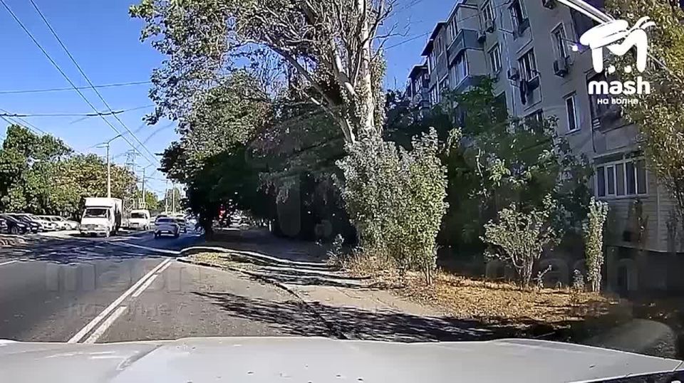 СЕЗОН УРОЖАЯ НАЧАЛСЯ!!! Об этом напоминают подростки с Хрусталёва и швыряют помидоры в машины