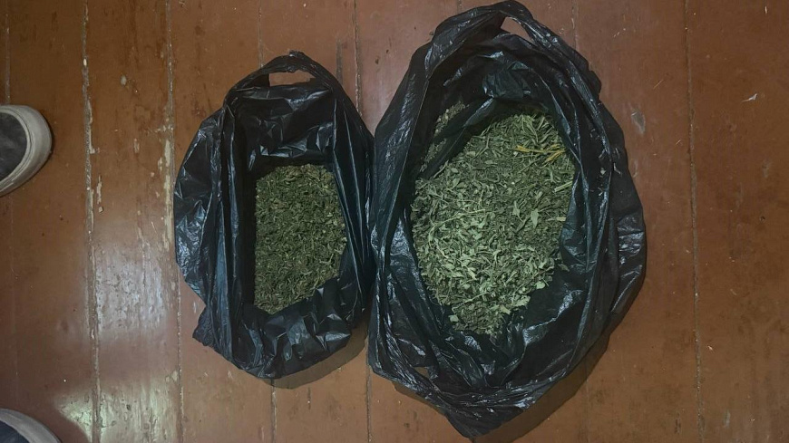 Свыше 90 кустов конопли и почти 5 кг марихуаны изъяли полицейские у жителя Бахчисарайского района Крыма Свыше 90 кустов конопли и почти 5 кг марихуаны изъяли полицейские у жителя Бахчисарайского района Крыма