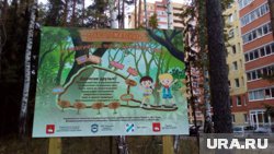 В Крым, не покидая Перми: обзор экотроп на правом берегу Камы. Карта В Крым, не покидая Перми: обзор экотроп на правом берегу Камы. Карта