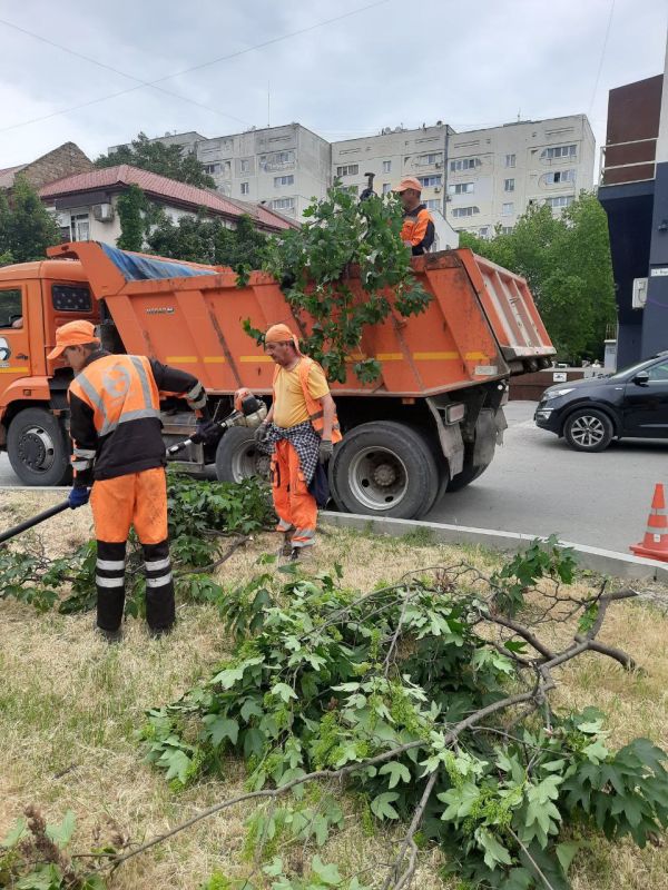 Михаил Развожаев: Традиционно мы готовим к началу учебного года не только образовательные учреждения, но и дорожную и городскую инфраструктуру Михаил Развожаев: Традиционно мы готовим к началу учебного года не только образовательные учреждения, но и дорожную и городскую инфраструктуру